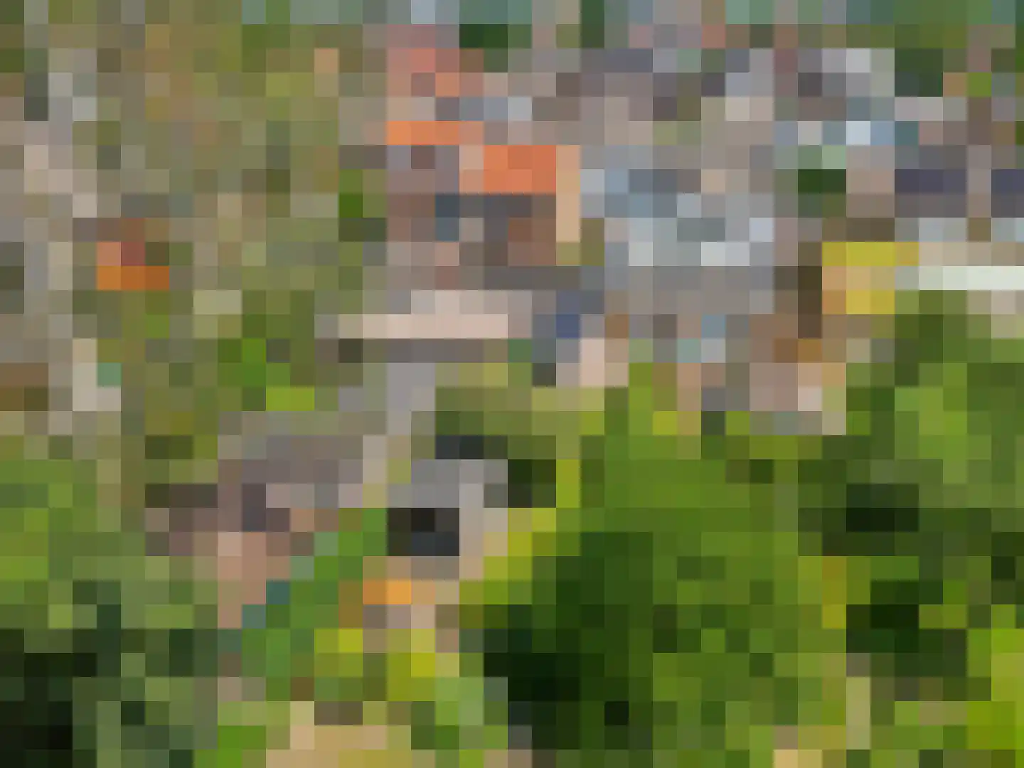 IJsselstraat 52 Velp thumbnail 5