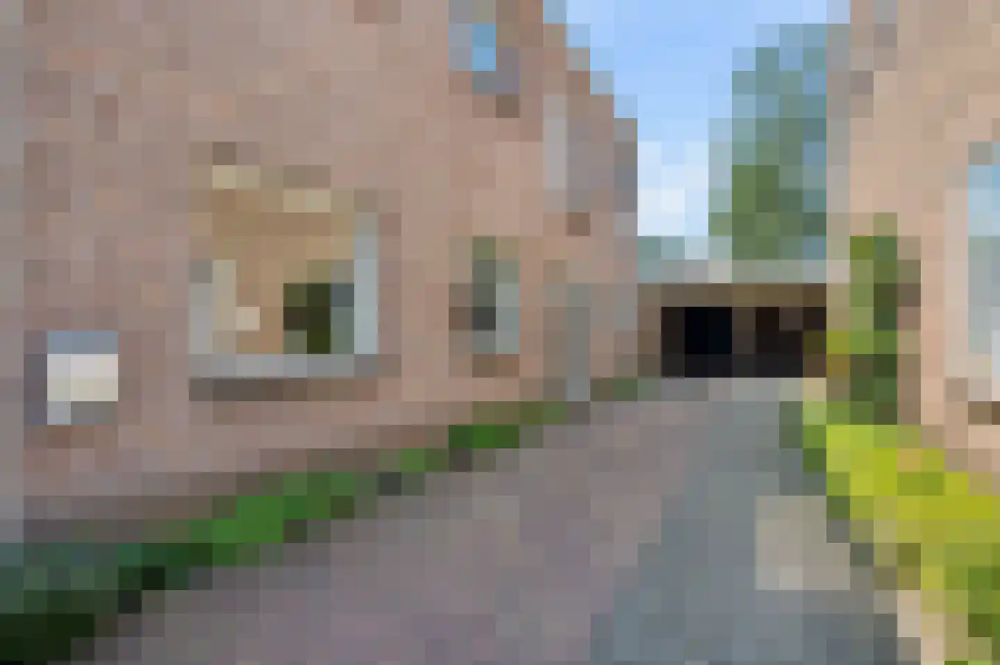 IJsselstraat 52 Velp thumbnail 8