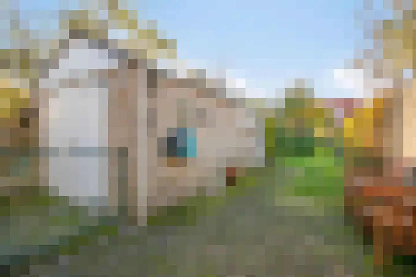 IJsselstraat 54 Velp thumbnail 26
