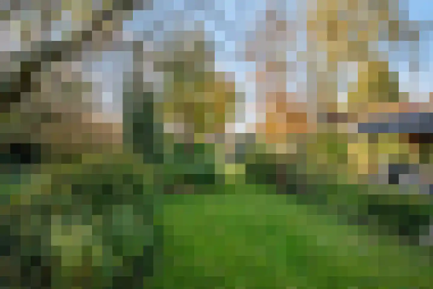 IJsselstraat 54 Velp thumbnail 28