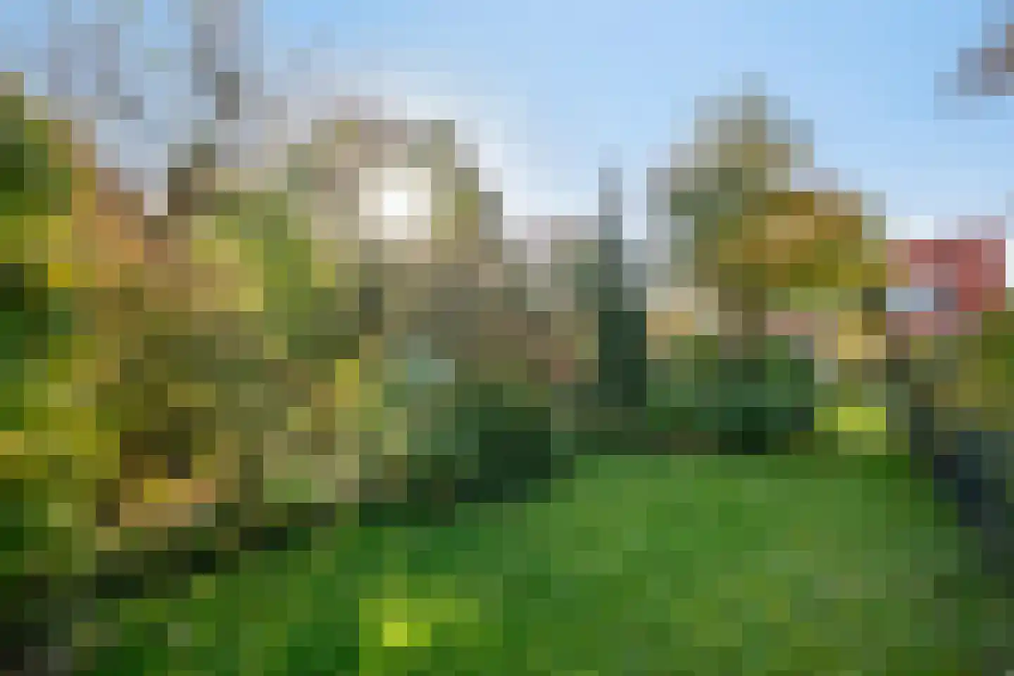 IJsselstraat 54 Velp thumbnail 29
