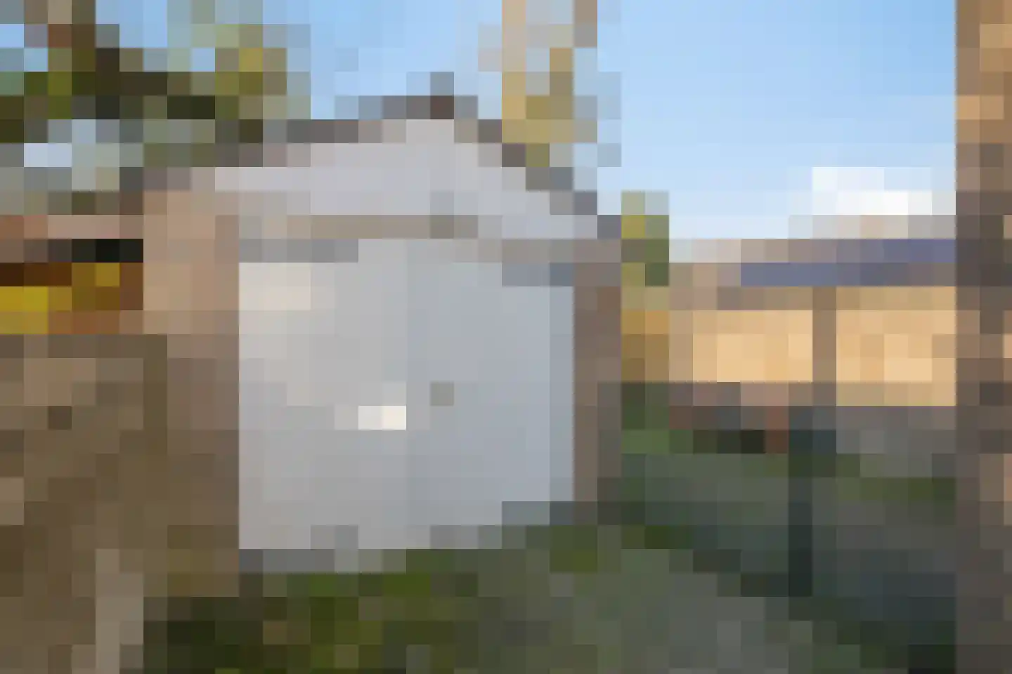 IJsselstraat 54 Velp thumbnail 33
