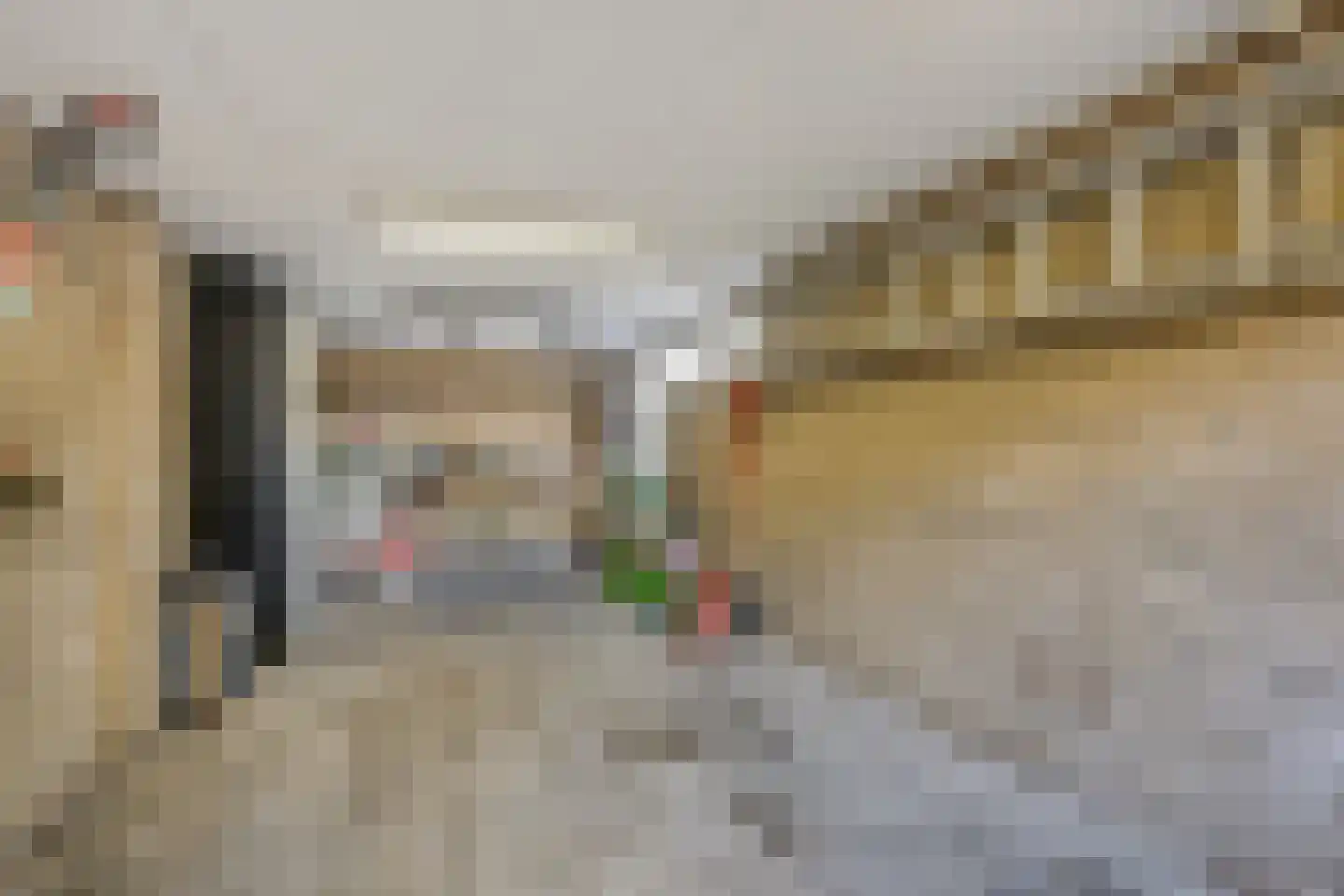 IJsselstraat 54 Velp thumbnail 34