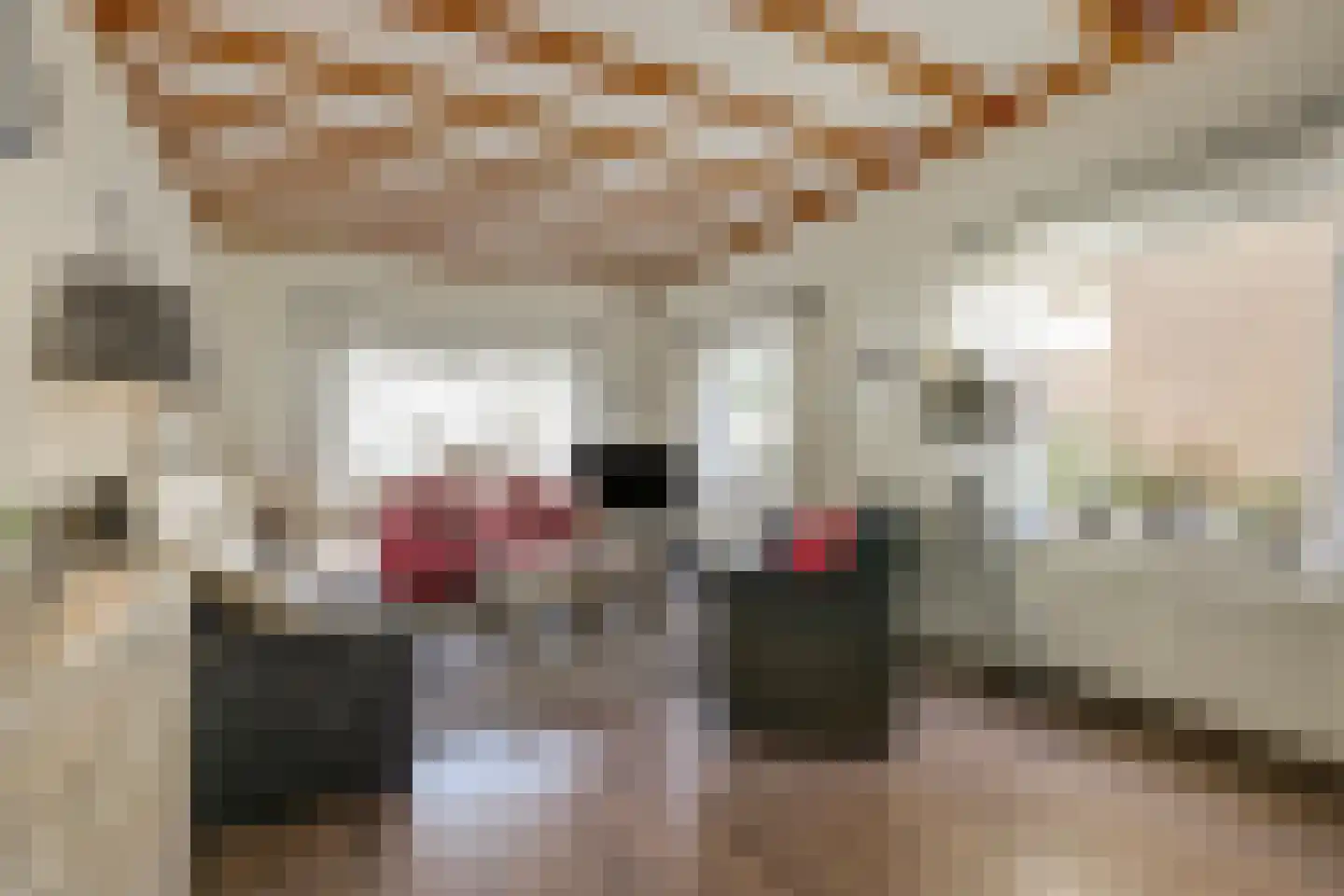 IJsselstraat 54 Velp thumbnail 9