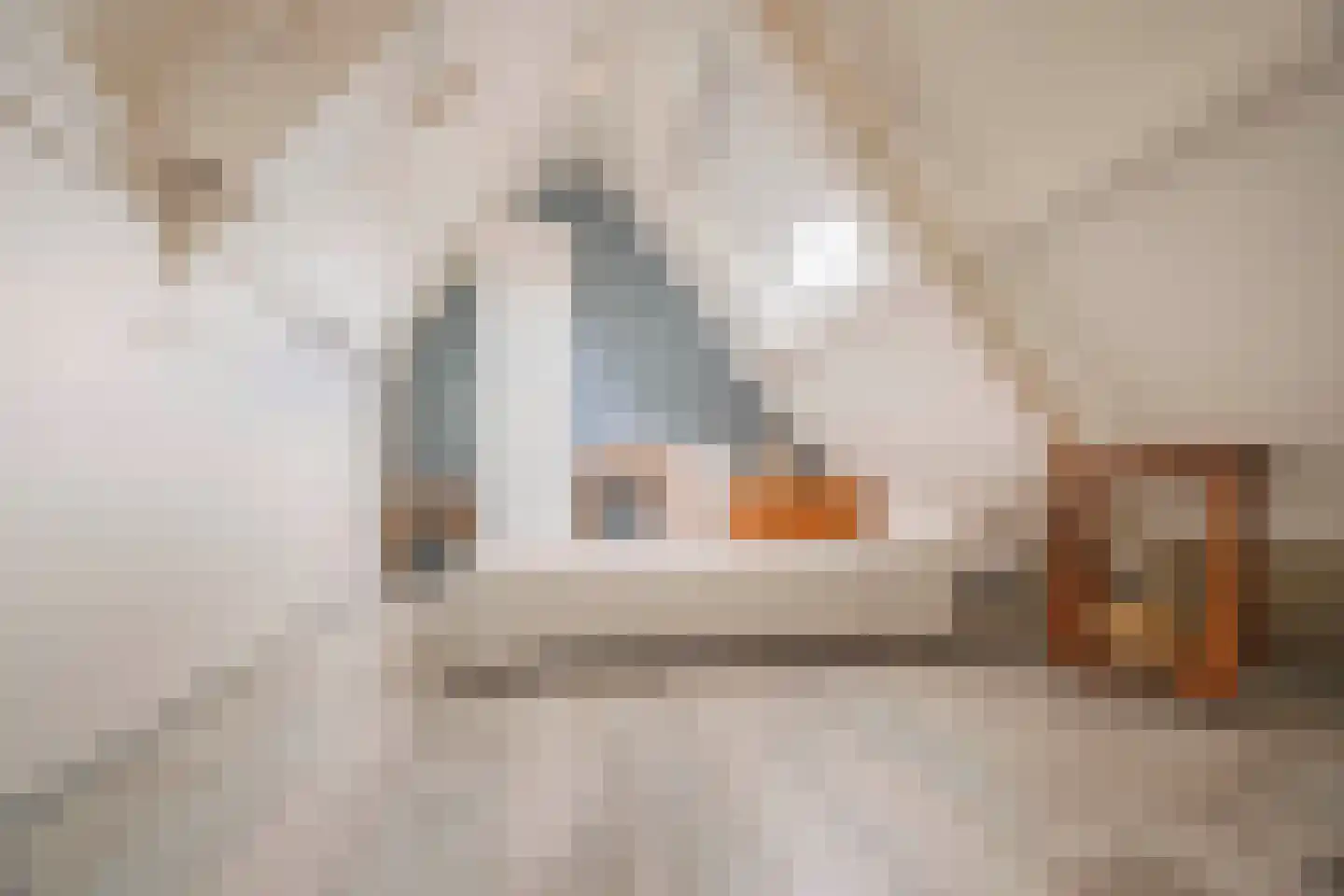 IJsselstraat 57 b Velp thumbnail 43
