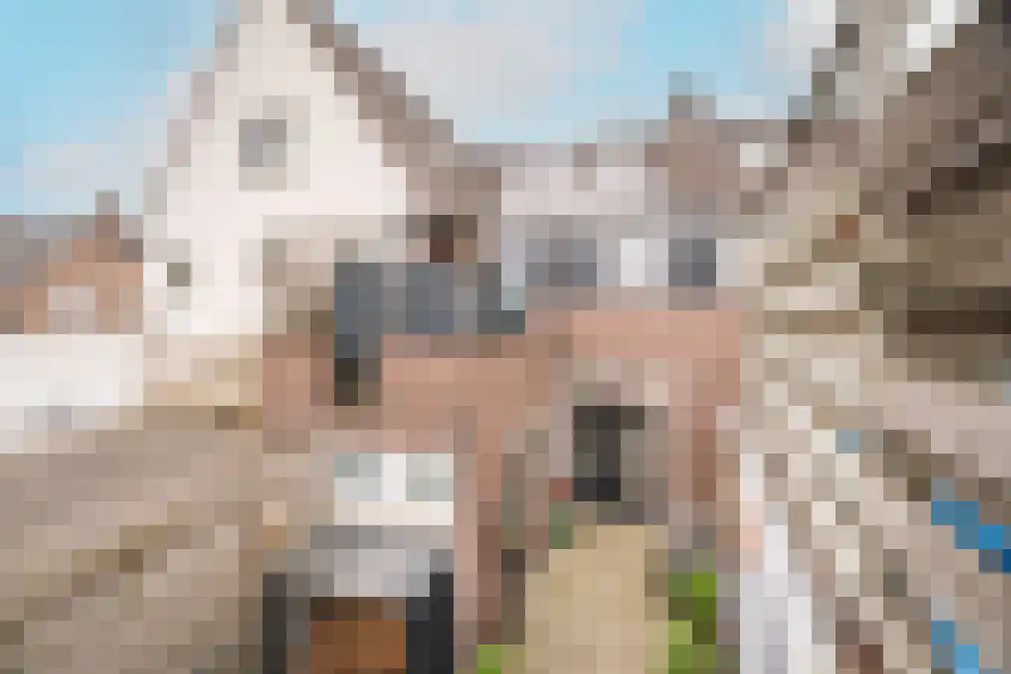 IJsselstraat 57 b Velp thumbnail 54