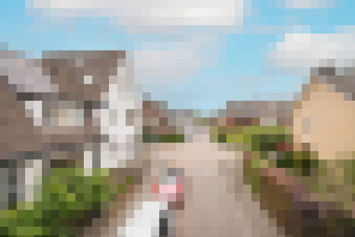 IJsselstraat 57 b Velp thumbnail 59