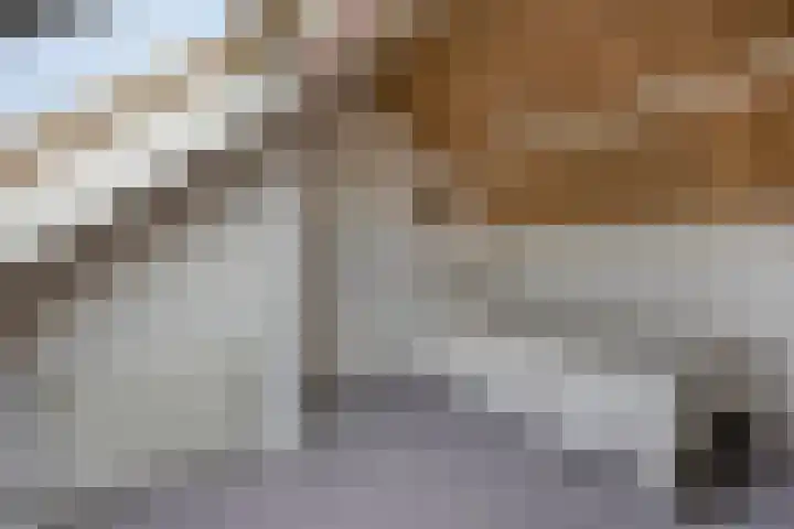 IJsselstraat 6 Alphen aan den Rijn thumbnail 21