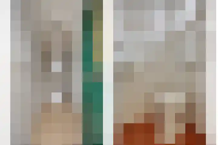 IJsselstraat 6 Alphen aan den Rijn thumbnail 6