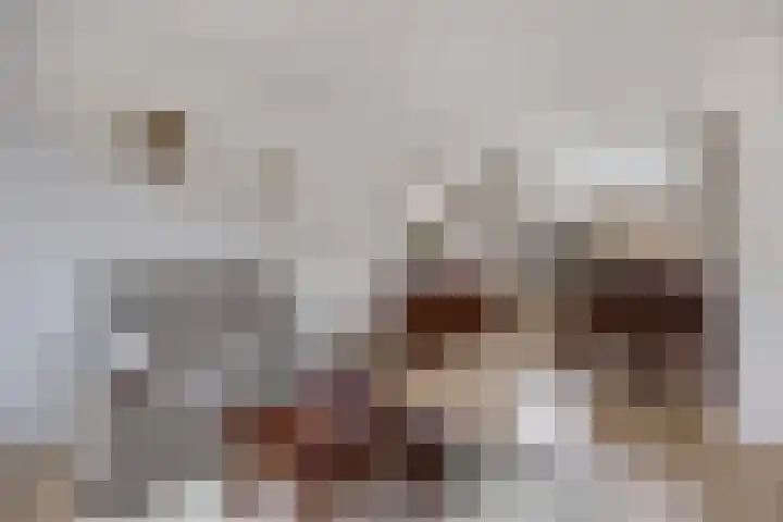 IJsselstraat 6 Alphen aan den Rijn thumbnail 7