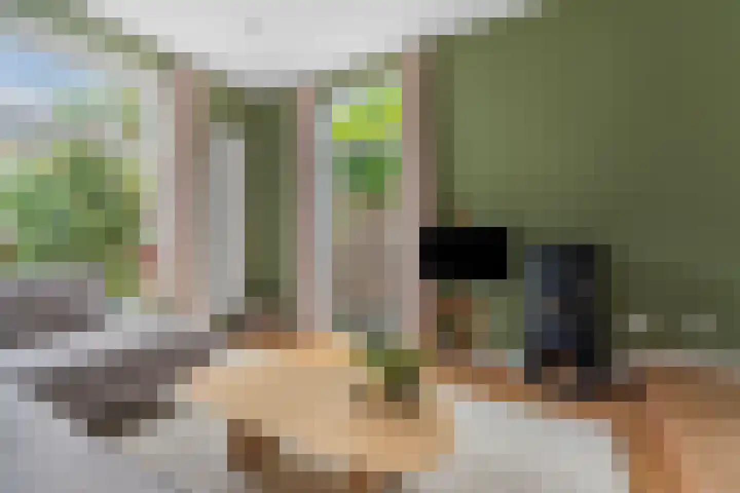 IJsselstraat 62 Velp thumbnail 10
