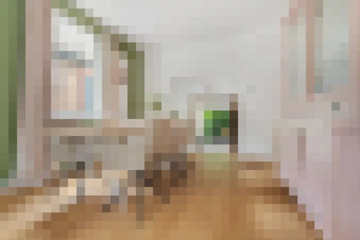 IJsselstraat 62 Velp thumbnail 12