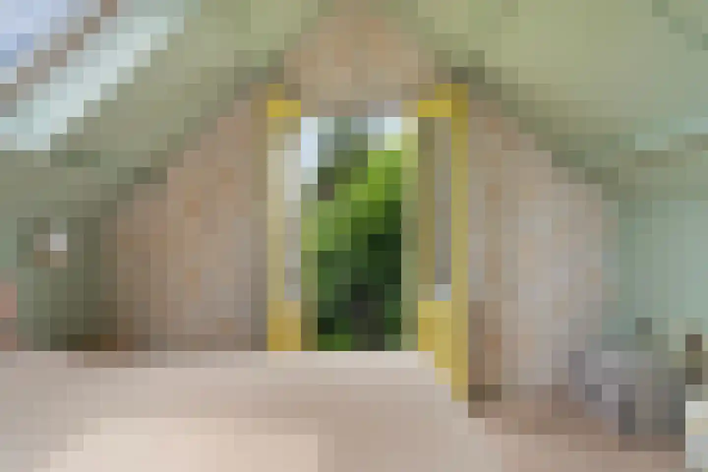IJsselstraat 62 Velp thumbnail 24