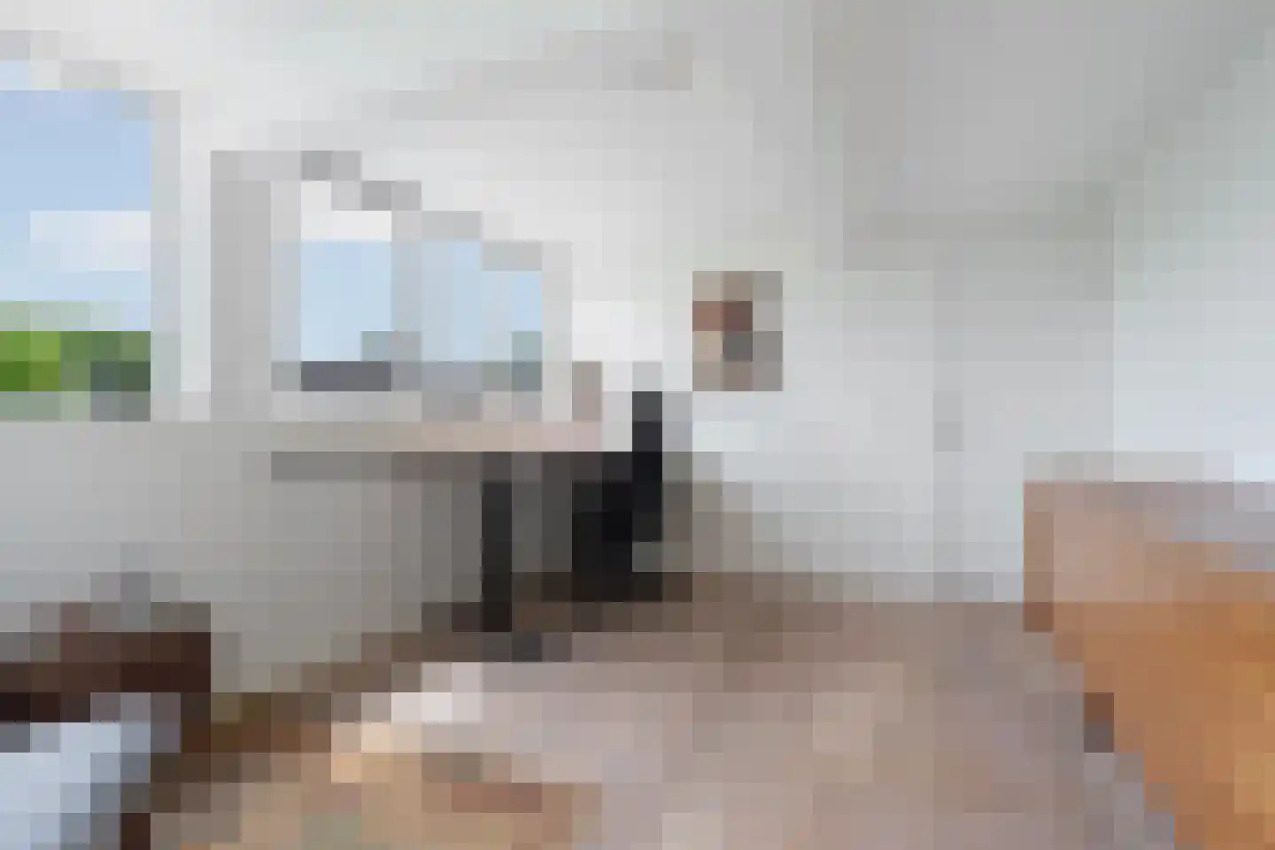 IJsselstraat 62 Velp thumbnail 32