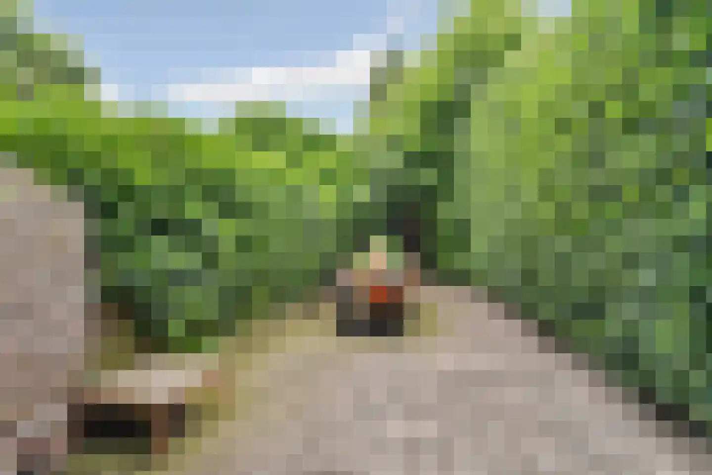 IJsselstraat 62 Velp thumbnail 37