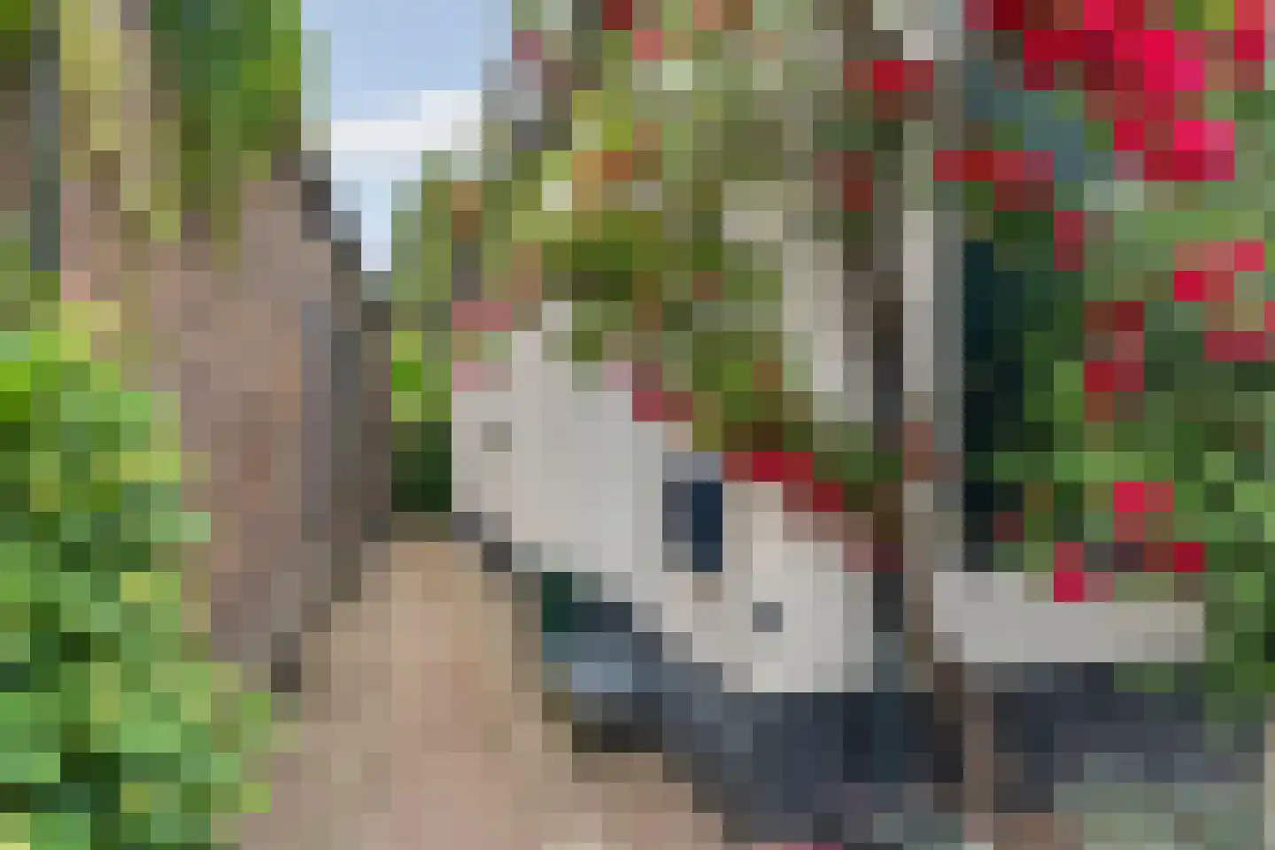 IJsselstraat 62 Velp thumbnail 6