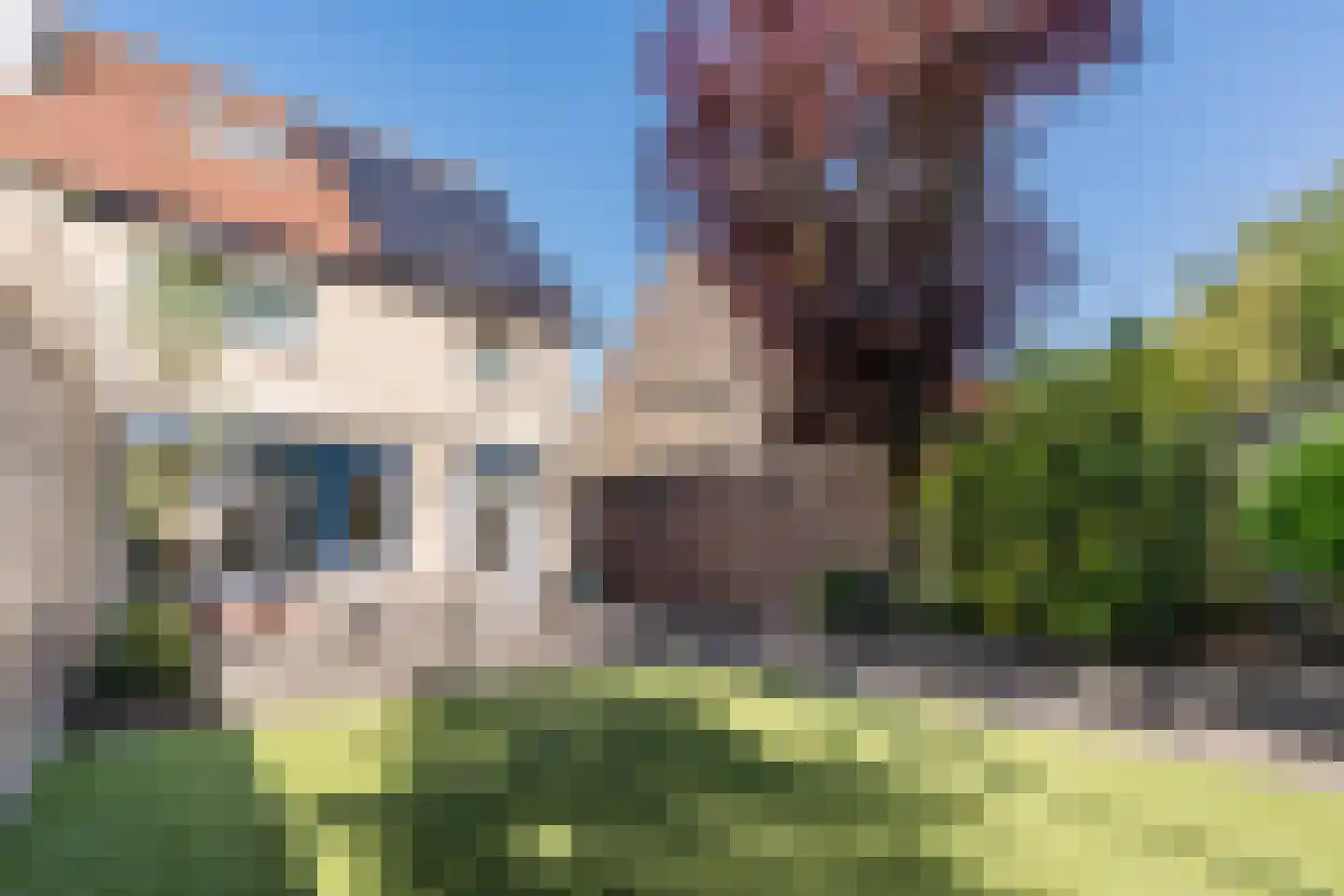 IJsselstraat 63 Helmond thumbnail 37