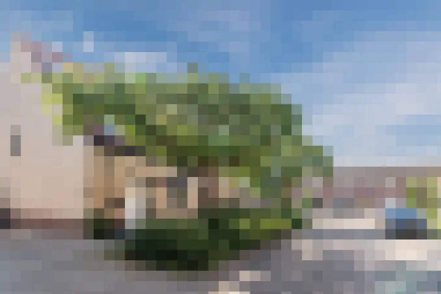 IJsselstraat 63 Helmond thumbnail 42