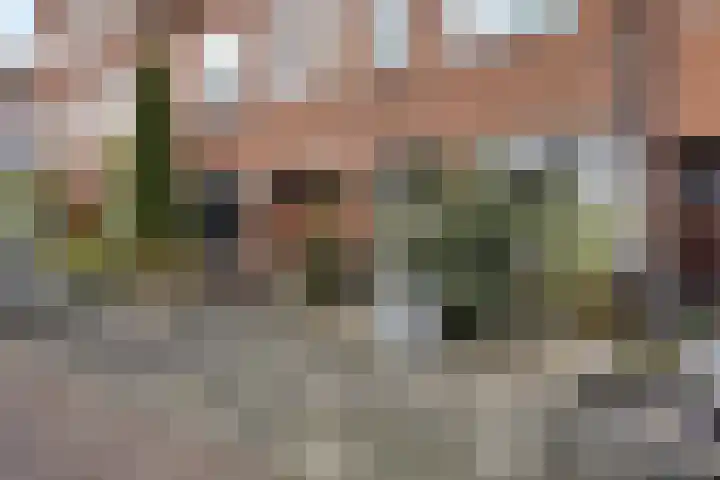IJsselstraat 67 Groningen thumbnail 10