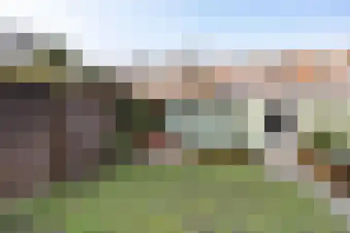 IJsselstraat 67 Groningen thumbnail 38