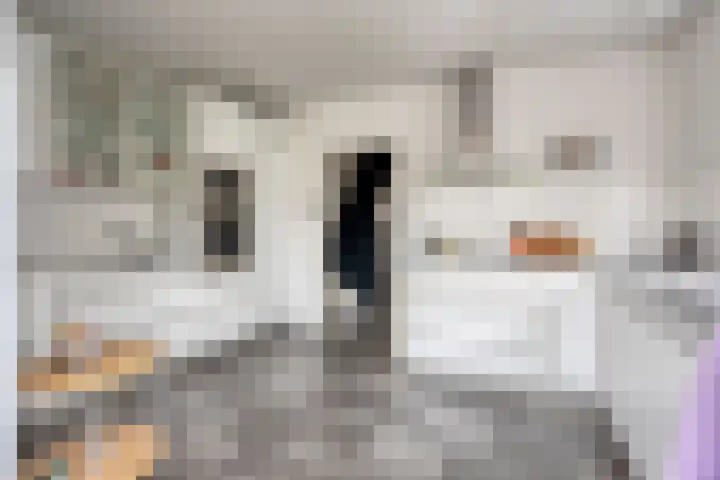 IJsselstraat 67 Velp thumbnail 14