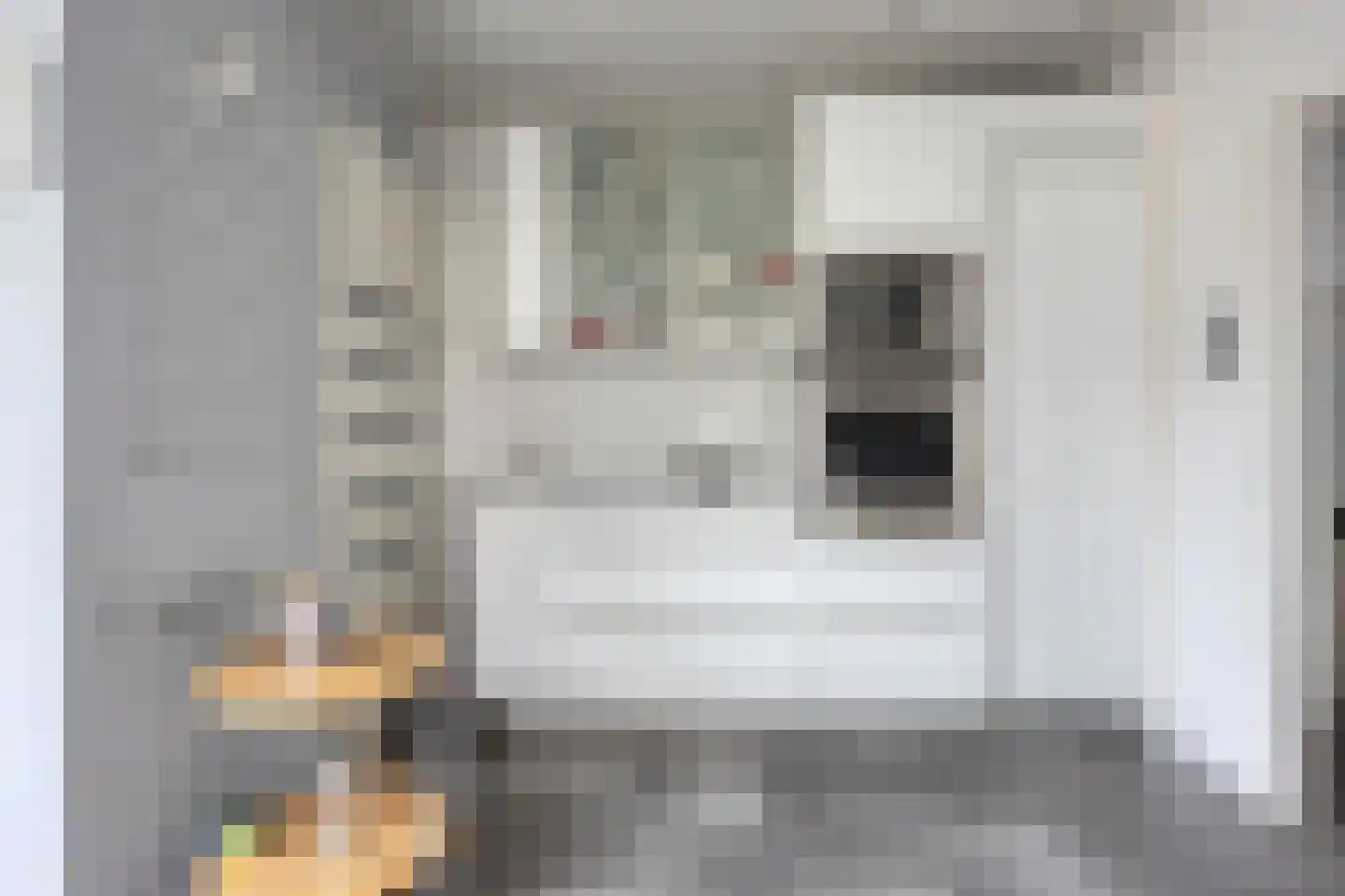 IJsselstraat 67 Velp thumbnail 15