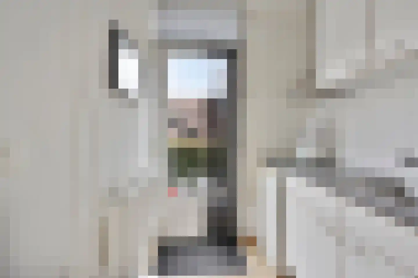IJsselstraat 67 Velp thumbnail 17