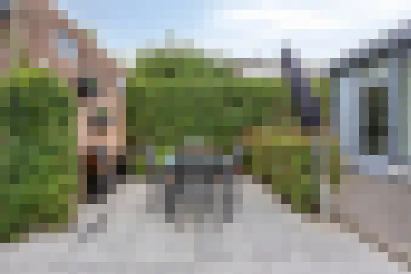 IJsselstraat 67 Velp thumbnail 27