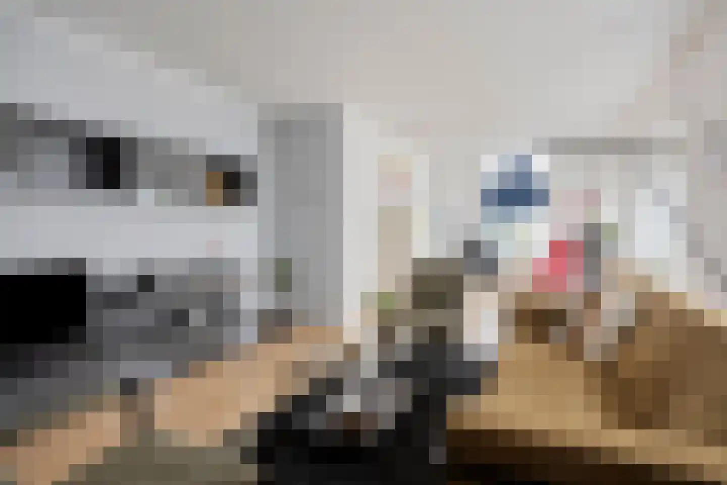 IJsselstraat 67 Velp thumbnail 4