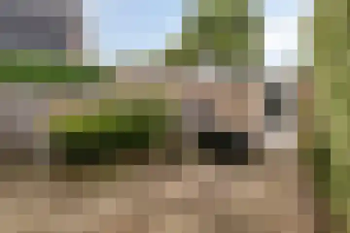 IJsselstraat 7 Krimpen aan den IJssel thumbnail 12