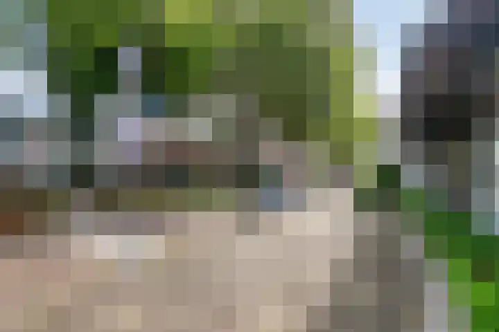 IJsselstraat 7 Krimpen aan den IJssel thumbnail 37
