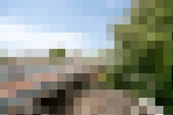 IJsselstraat 7 Krimpen aan den IJssel thumbnail 40