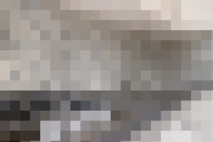 IJsselstraat 7 Krimpen aan den IJssel thumbnail 8