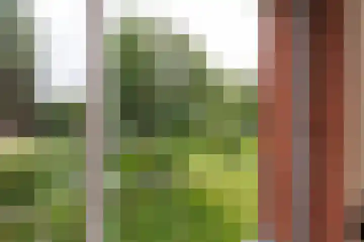 IJsselstraat 71 Apeldoorn thumbnail 10