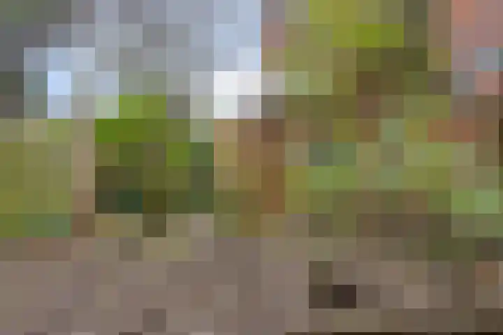 IJsselstraat 72 Groningen thumbnail 26
