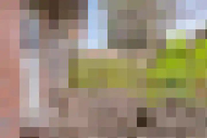 IJsselstraat 72 Groningen thumbnail 31