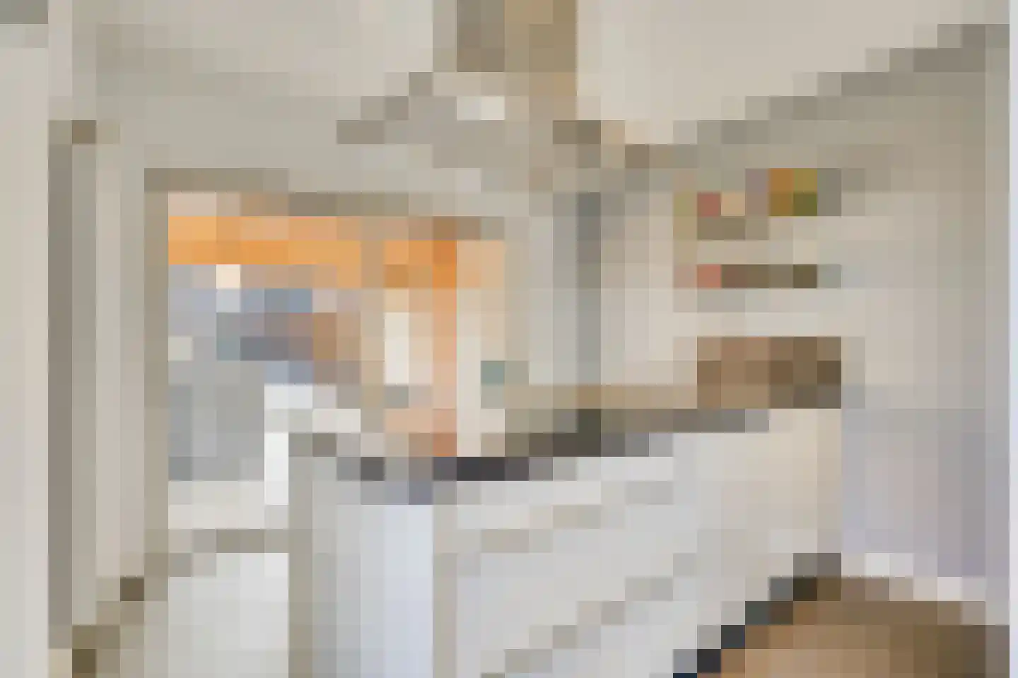 IJsselstraat 73 Velp thumbnail 17