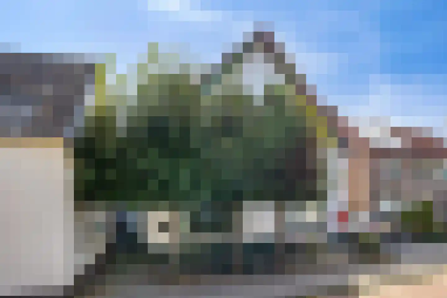 IJsselstraat 73 Velp thumbnail 4