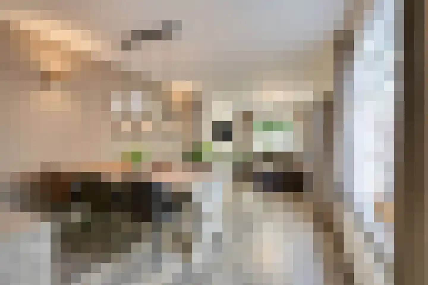 IJsselstraat 73 Velp thumbnail 5