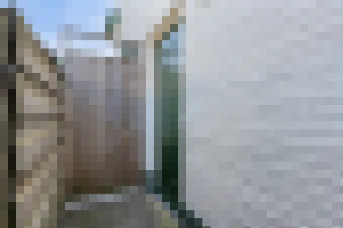 IJsselstraat 73 Velp thumbnail 6