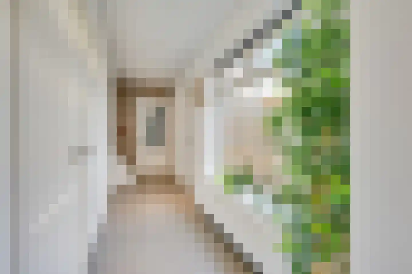 IJsselstraat 73 Velp thumbnail 7