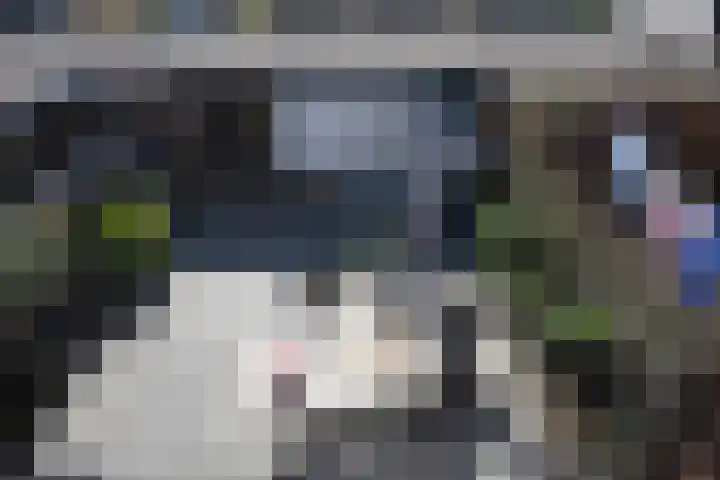 IJsselstraat 77 Hattem thumbnail 16