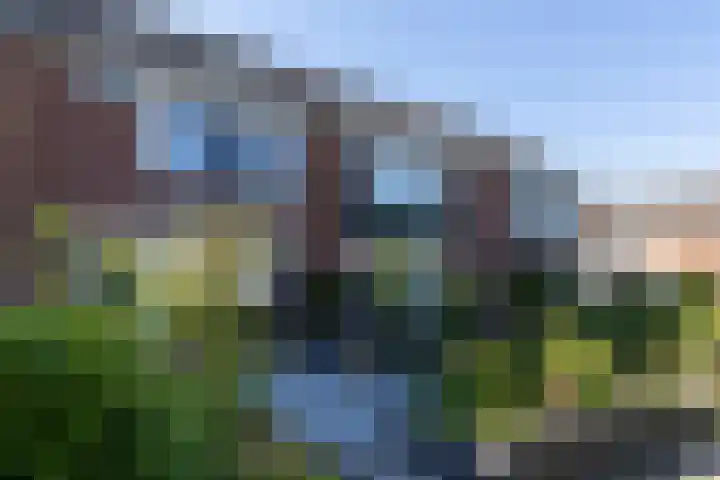 IJsselstraat 77 Hattem thumbnail 4