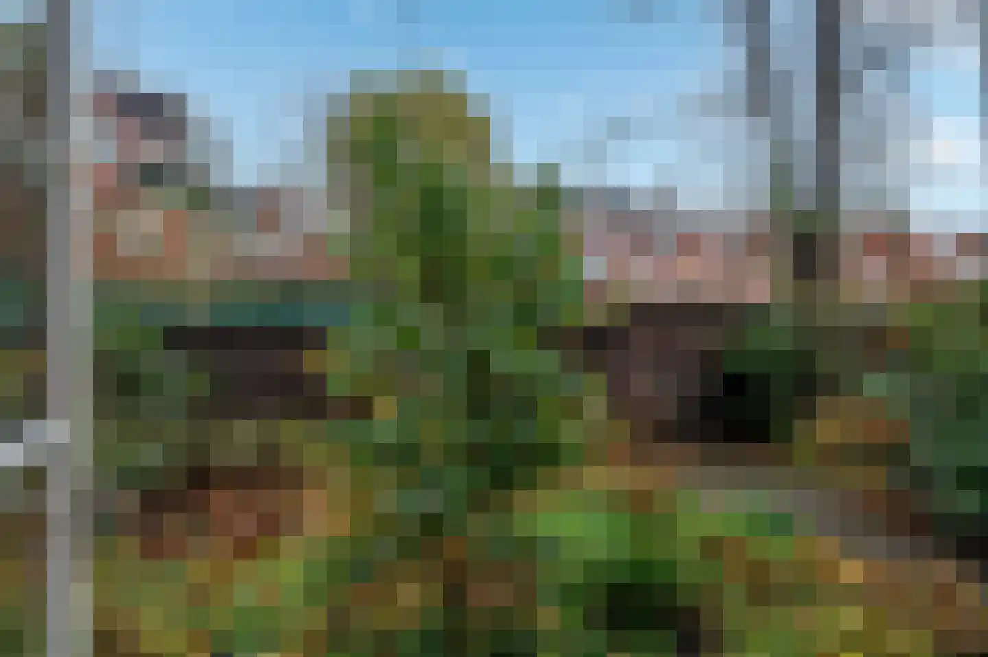 IJsselstraat 79 Groningen thumbnail 25