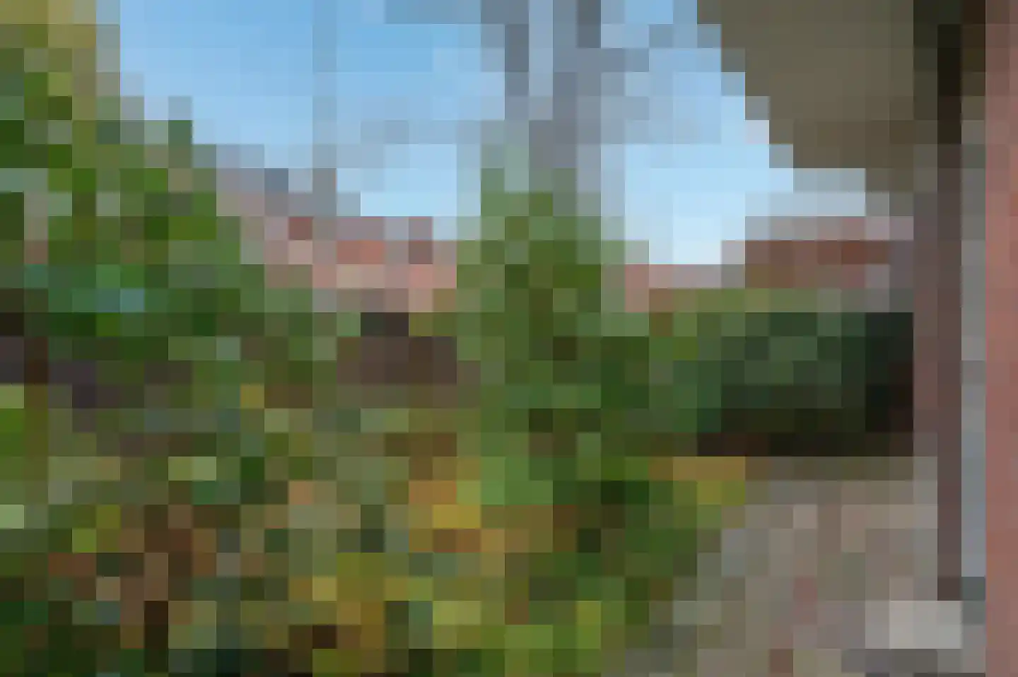 IJsselstraat 79 Groningen thumbnail 26