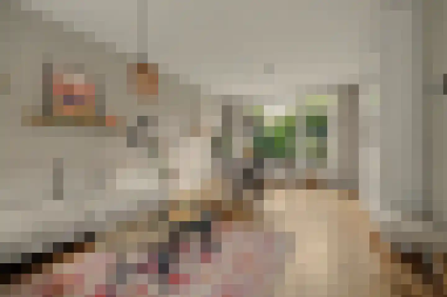 IJsselstraat 84 Middelburg thumbnail 14
