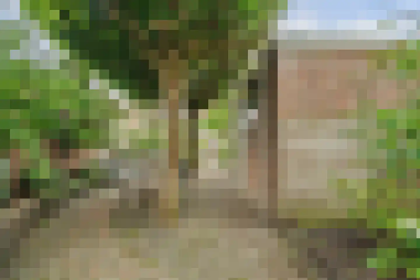 IJsselstraat 84 Middelburg thumbnail 33