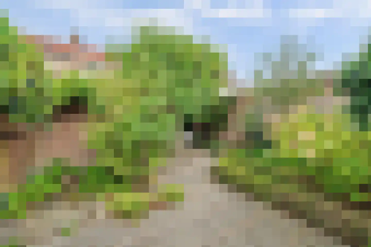 IJsselstraat 84 Middelburg thumbnail 38