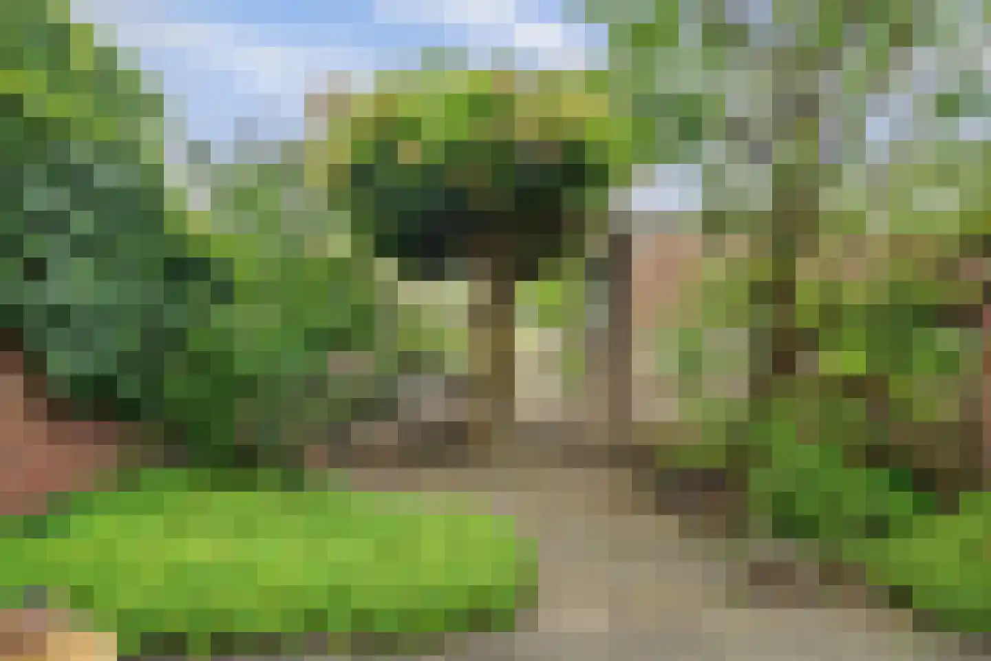 IJsselstraat 84 Middelburg thumbnail 6
