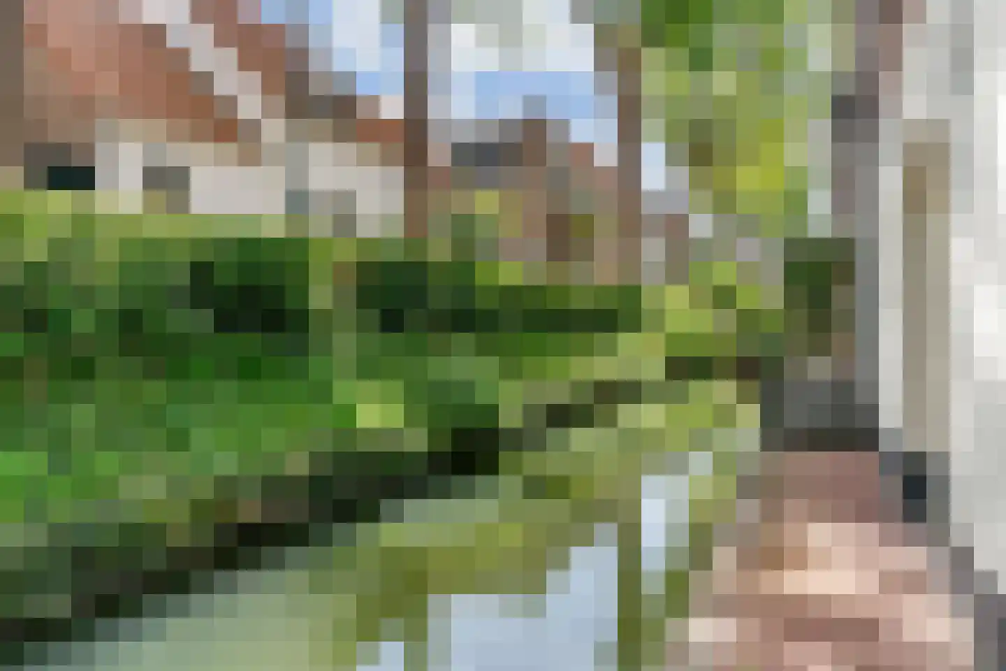 IJsselstraat 9 IJsselstein thumbnail 23